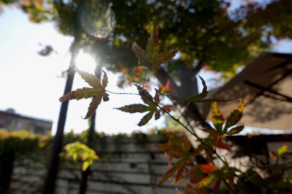 画像の説明 画像の説明