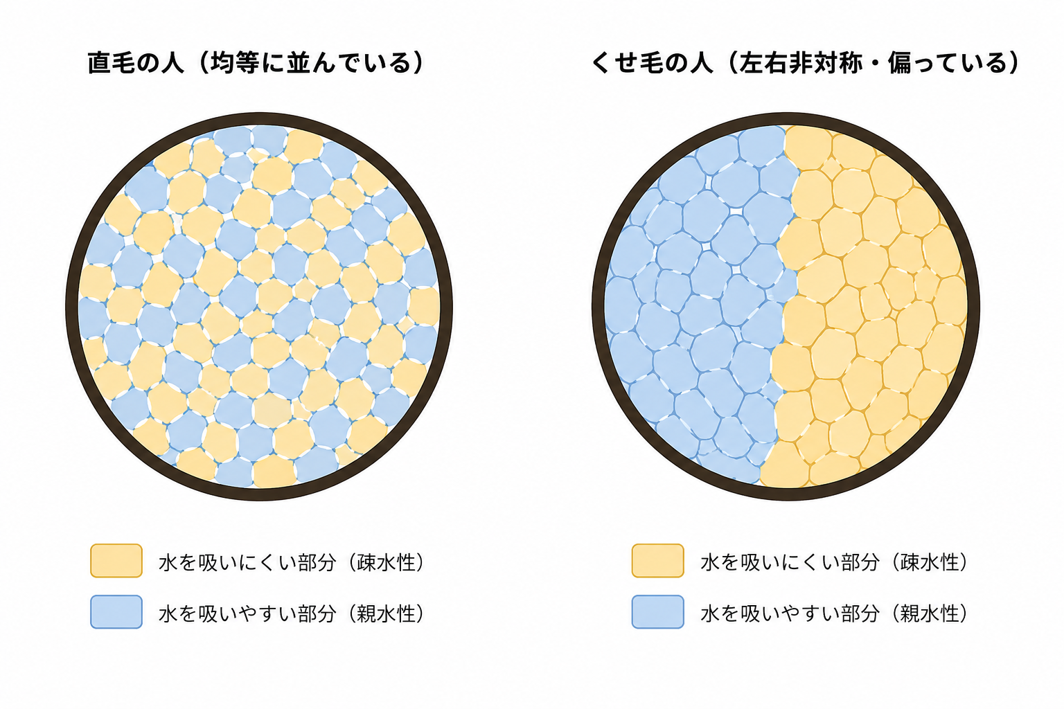 画像の説明